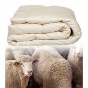 beter_slapen - Dekbed Merinos wol beter_slapen - Dekbed Merinos wol